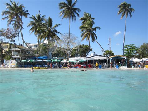 things to do in boca chica dominican republic|andres boca chica dominican republic.